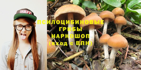 круглые Алзамай