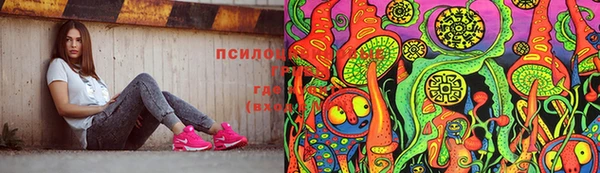 круглые Алексеевка