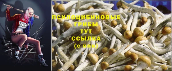 круглые Алексеевка
