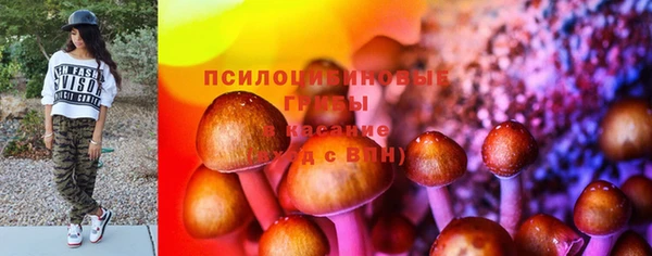 круглые Алексеевка