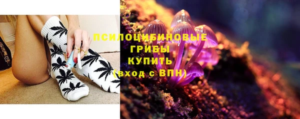круглые Алзамай