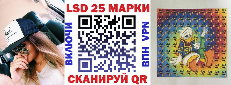 Купить закладки  Жердевка  Наркотические марки 1,5мг 