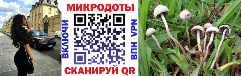 Псилоцибиновые грибы Cubensis  Купить закладки  Жердевка 